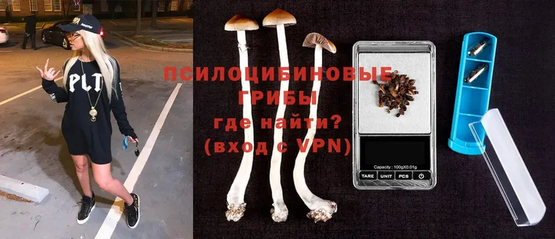 даркнет сайт  OMG зеркало  Псилоцибиновые грибы Psilocybine cubensis  Тюкалинск 