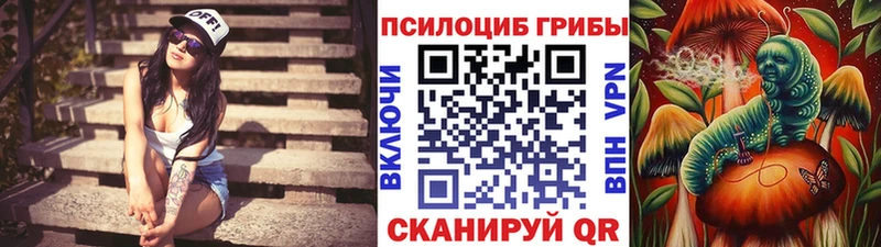 Псилоцибиновые грибы мицелий  Тюкалинск 